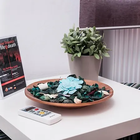 Antique Vandrarhem Bukarest